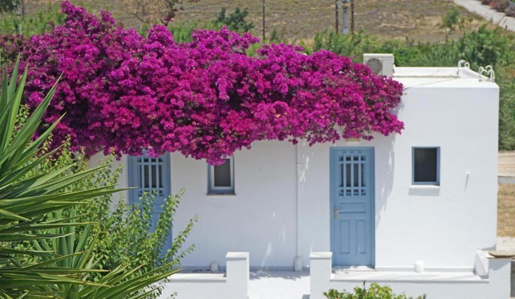 Klironomos Apartments Logaras Esterno foto