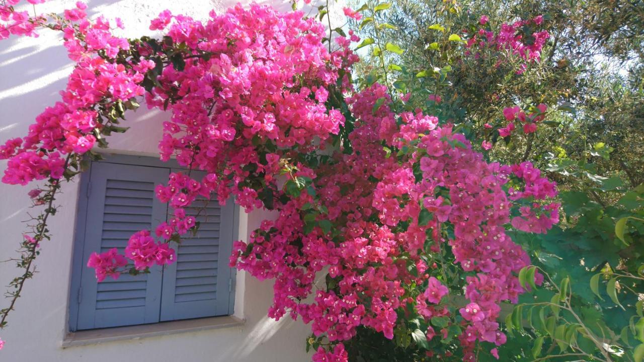 Klironomos Apartments Logaras Esterno foto